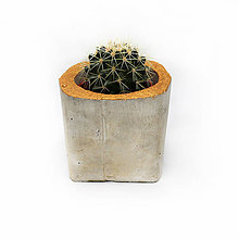 Dekorácie - Cactus pot - 10345617_