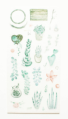 Papier - Akvarelový set - nálepky "mint succulent" (A.) - 10357359_