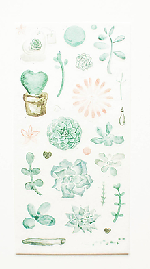 Papier - Akvarelový set - nálepky "mint succulent" (D.) - 10357367_