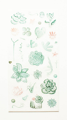 Papier - Akvarelový set - nálepky "mint succulent" (E.) - 10357370_