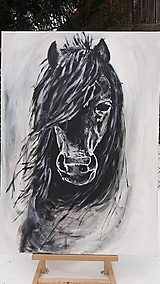 Obrazy - Čierny koň - 10362889_