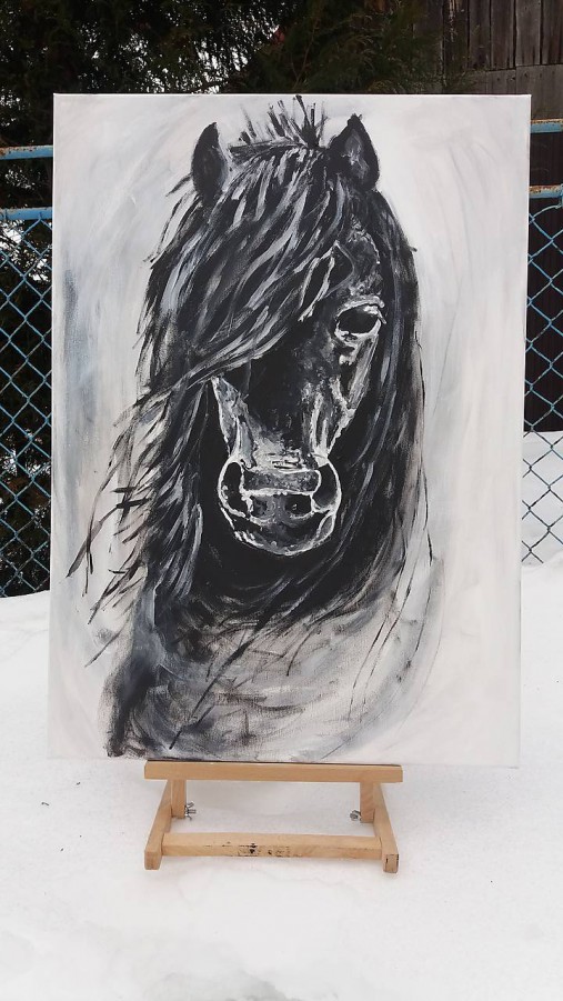 Čierny koň