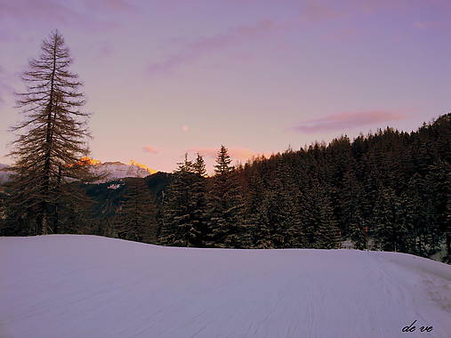 Fotografie - Vôňa zimy - 10419792_