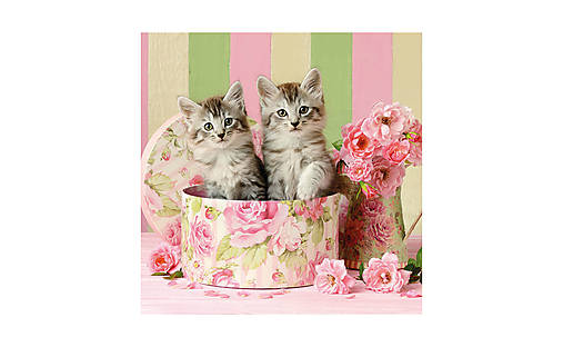  - Servítka "Cats in Box" 13312890 - 10429357_