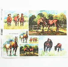 Papier - Ryžový papier na decoupage -A4-R1217-kone, koníky, horses - 10431650_