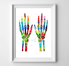 Grafika - Anatómia ľudských rúk - 10457688_