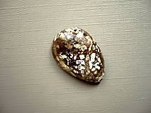 Minerály - Kabošon - opál 25 mm, č.1f - 10474854_