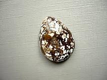 Minerály - Kabošon - opál 24 mm, č.2f - 10474864_