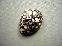 Minerály - Kabošon - opál 27 mm, č.4f - 10474886_