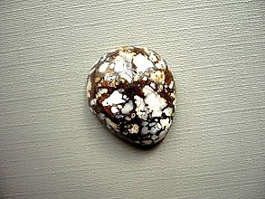 Minerály - Kabošon - opál 21 mm, č.8f - 10474935_