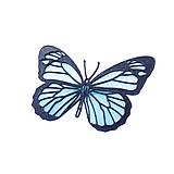 Motýľ iceland blue/black