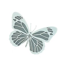 Brošne - Motýľ silver/white - 10480054_