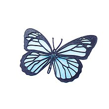 Brošne - Motýľ iceland blue/black - 10480164_