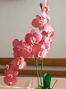 Dekorácie - Ružová orchidea - 10518252_