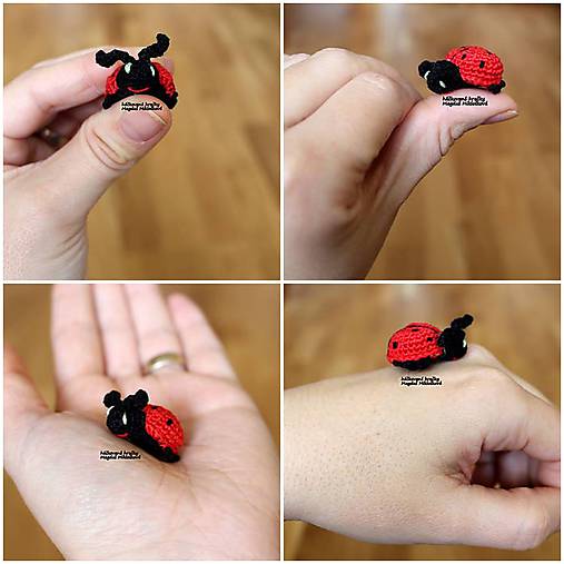 Mini lienka bodkovaná