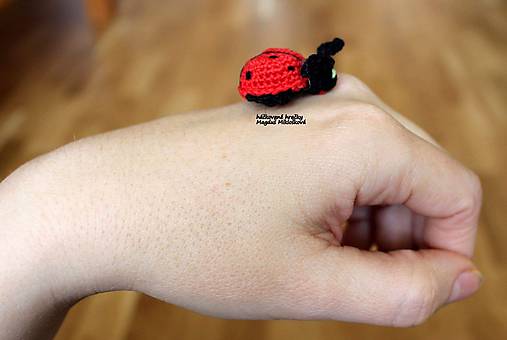 Mini lienka bodkovaná