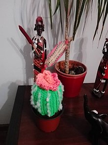 Iné doplnky - Mammillaria cactus - 10628379_