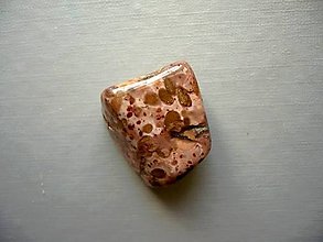 Minerály - Troml. - tiger jaspis 24 mm, č.32 - 10678391_