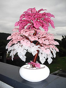 Dekorácie - Ružovobiely bonsaj - 10688693_