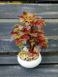Dekorácie - Červeno ružovo žltý bonsaj 25cm - 10718215_