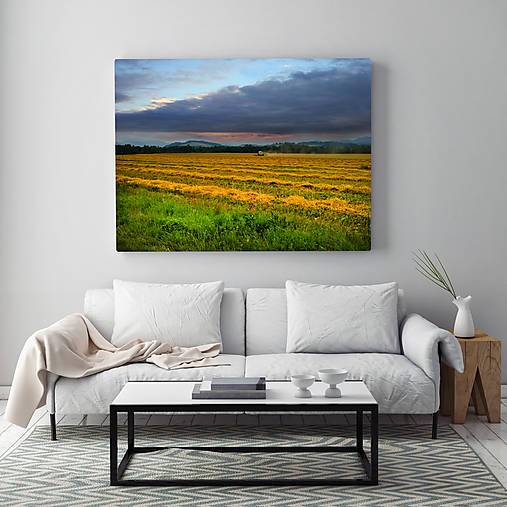 Obrazy - LIPTOV fotoplátno 60x40cm (D) - 10735112_