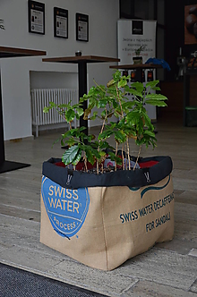 Dekorácie - Zero waste obal na kvetináč - 10769595_