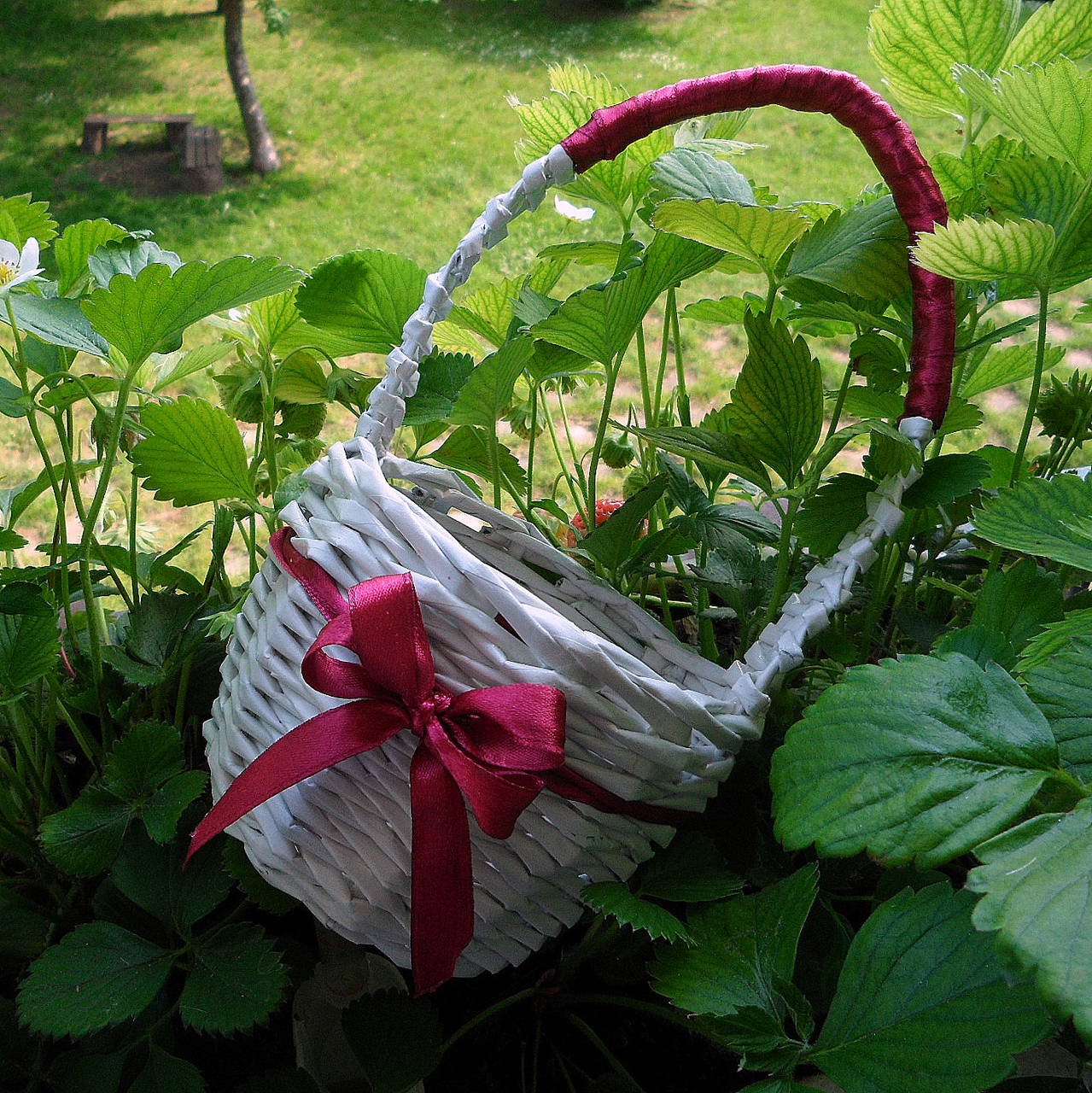 Košíček MIRKO (bordový)