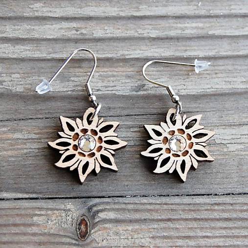 Náušnice - Drevené náušnice - Plesnivec (Priehľadná) - 10791978_