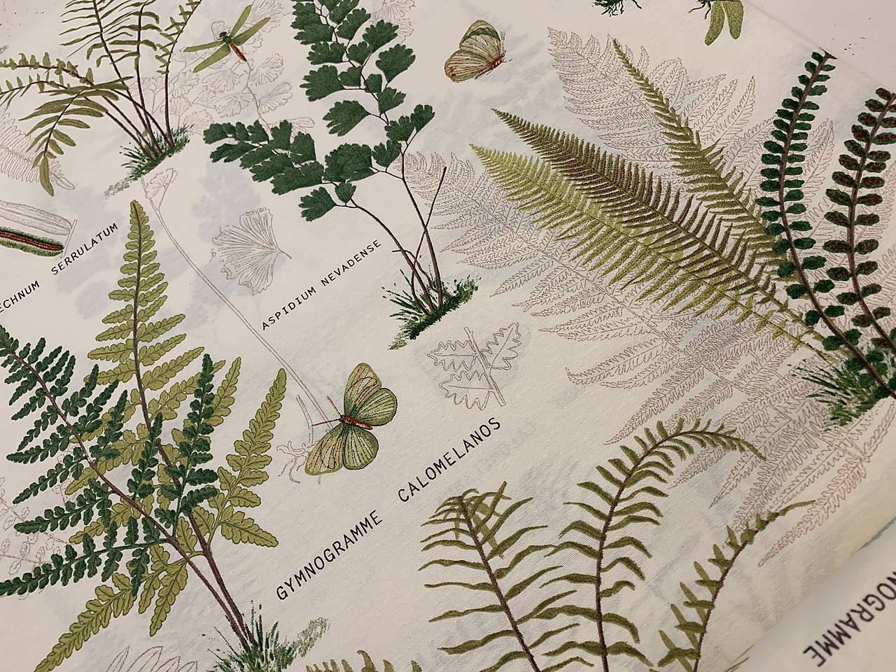 Bavlnene latky dovoz Taliansko 