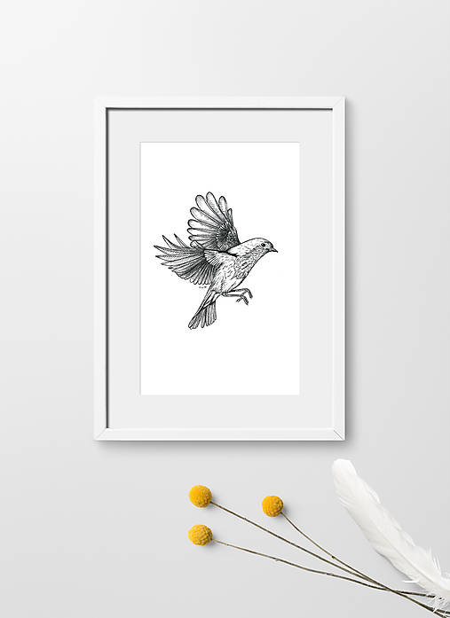 Obrazy - Červenka (tisk perokresby, A4) - 10837340_