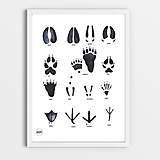 Art Print - stopy zvierat