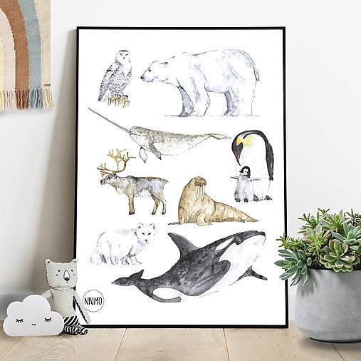 Kresby - Art Print - Antarktída Arktída - 10855204_