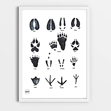 Kresby - Art Print - stopy zvierat - 10855206_