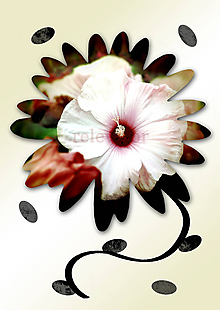 Grafika - Kvety v kvete (drobný) (nevesta) - 10862302_