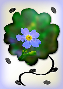 Grafika - Kvety v kvete (nepravidelný) (nezábudka) - 10863406_