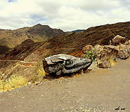 Fotografie - Tenerife - 10887223_
