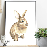 Art Print - hnedý zajko