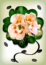 Grafika - Kvety v kvete (nepravidelný) (marhuľová pena) - 10975695_