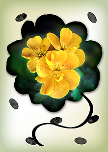 Grafika - Kvety v kvete (nepravidelný) (slnká v tráve) - 10975686_