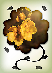 Grafika - Kvety v kvete (nepravidelný) (retro) - 10975687_