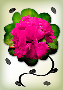 Grafika - Kvety v kvete (nepravidelný) (malinové opojenie) - 10975689_