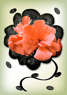 Grafika - Kvety v kvete (nepravidelný) (marhuľová farba im pristane) - 10975690_
