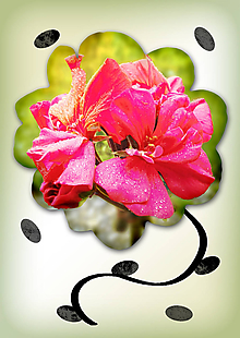 Grafika - Kvety v kvete (nepravidelný) (žiarivé kvietie) - 10975692_