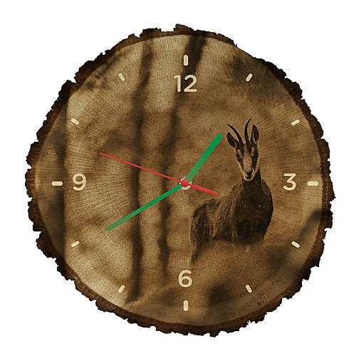 Drevené hodiny Kamzík vrchovský (Zelené ručičky)
