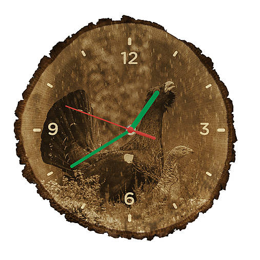 Drevené hodiny Hlucháň hôrny (Zelené ručičky)