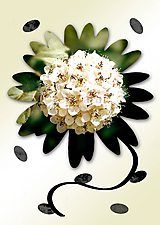 Grafika - Kvety v kvete (drobný) (partia) - 10989735_