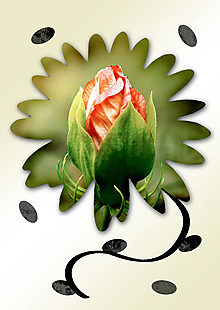 Grafika - Kvety v kvete (drobný) - 10989708_