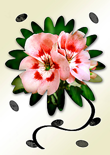 Grafika - Kvety v kvete (drobný) (priatelia) - 10989717_