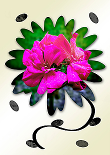 Grafika - Kvety v kvete (drobný) (cyklamenová radosť) - 10989727_