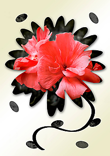 Grafika - Kvety v kvete (drobný) (v melónovej farbe) - 10989737_